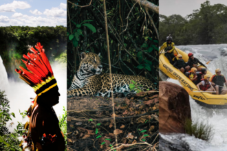 governo-apresenta-cultura-pantaneira,-etnoturismo-e-observacao-de-onca-em-evento-nacional