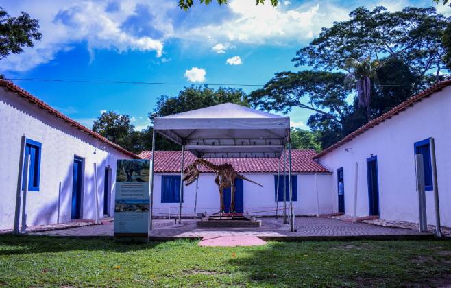 museu-de-historia-natural-oferece-atracoes-natalinas-e-inaugura-trilha-e-biblioteca