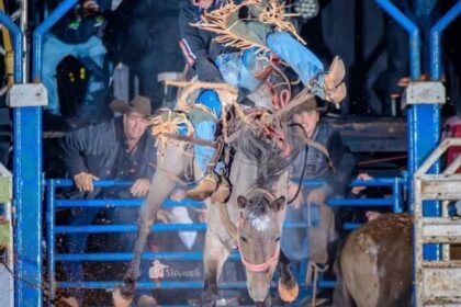 egua-‘lenda’-de-rodeios-pelo-brasil-morre-apos-suposta-picada-de-cobra-em-mt