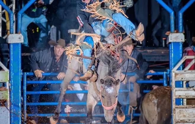 egua-‘lenda’-de-rodeios-pelo-brasil-morre-apos-suposta-picada-de-cobra-em-mt