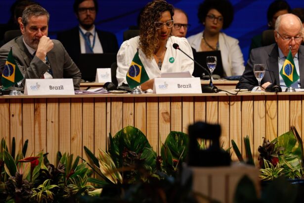 no-g20,-brasil-reafirma-compromisso-de-combate-ao-racismo