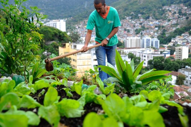 nova-lei-pretende-estimular-a-producao-de-alimentos-nas-cidades