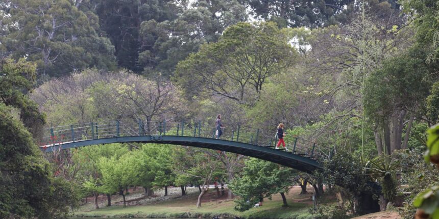 hoje-e-dia:-ibirapuera,-getulio-e-leminski-sao-destaques-da-semana
