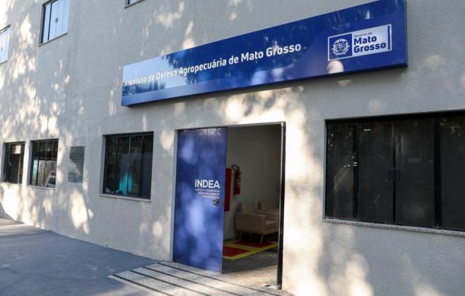 caso-de-raiva-bovina-e-confirmado-pelo-indea-em-propriedade-rural-de-mt