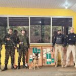 operacao-integrada-apreende-19kg-de-cocaina-em-onibus-e-gera-prejuizo-de-r$-475-mil-ao-crime-organizado