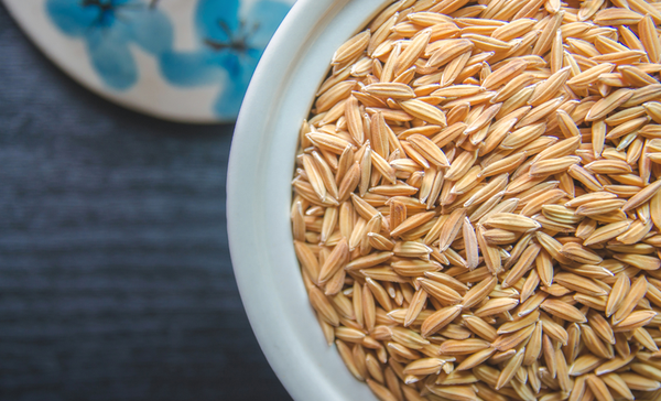 mato-grosso-recebe-nesta-semana-grupo-de-trabalho-da-agricultura-do-g20