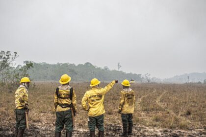 dino-estabelece-orcamento-de-emergencia-para-combate-a-incendios