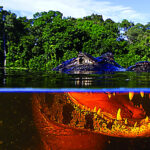 sebrae/mt-will-showcase-the-tourism-potential-of-the-state’s-biomes-to-the-visit-brazil-gall