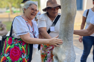 museu-de-historia-natural-de-mt-oferece-atividades-inclusivas-em-programacao-de-evento-nacional