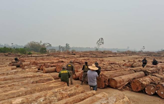 sema-realiza-operacoes-contra-extracao-ilegal-de-madeira-no-parque-estadual-tucuma