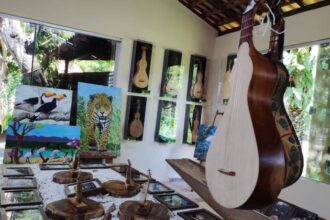 documentario-modo-de-fazer-viola-de-cocho-esta-disponivel-no-youtube