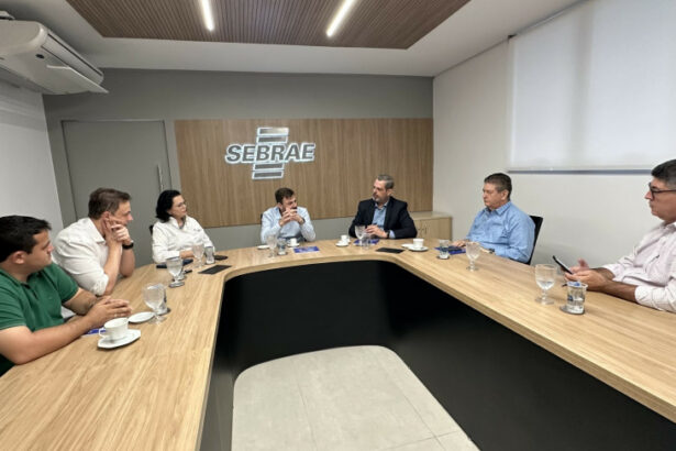 sebrae/mt-recebe-proposta-para-instalacao-de-uma-‘sala-do-empreendedor’-em-colider
