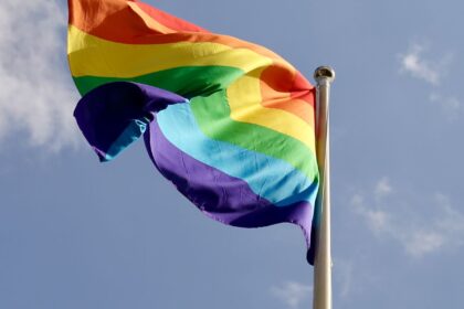 em-2024,-60%-dos-projetos-de-lei-sobre-lgbt-eram-a-favor-da-comunidade