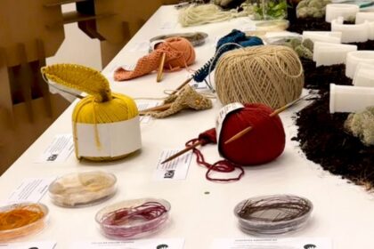 bioeconomia-amazonica:-o-desafio-de-gerar-renda-e-conservar-a-floresta