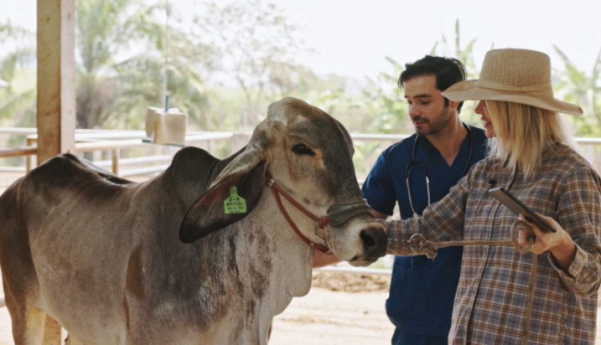 sebrae/mt-e-tnc-abrem-vagas-para-consultoria-gratuita-voltada-a-pequenos-produtores-rurais