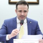 projeto-protege-de-punicao-tutor-que-comprovar-ter-tentado-impedir-perturbacao-por-barulhos-de-animal