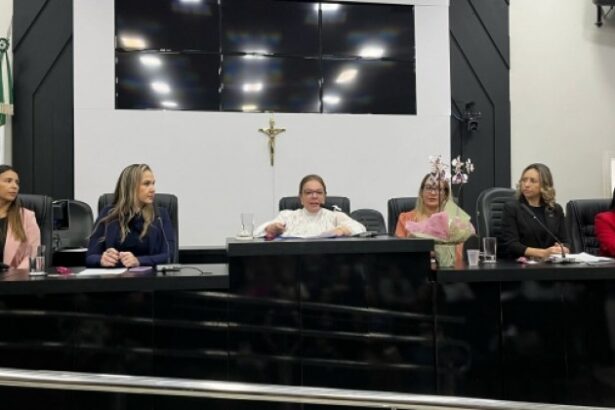 em-audiencia-publica,-paula-calil-destaca-a-importancia-da-formalizacao-no-empreendedorismo-feminino