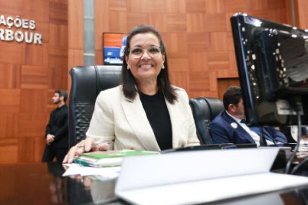 deputada-marildes-apresenta-projeto-para-hospitais-divulgarem-direitos-dos-idosos-hospitalizados