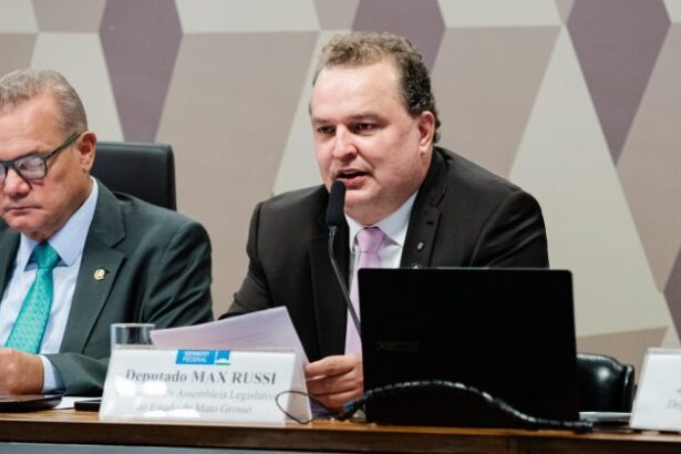 max-russi-defende-equilibrio-entre-producao-e-preservacao-durante-audiencia-sobre-moratoria-da-soja-e-da-carne