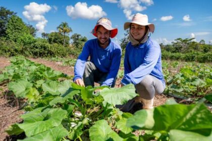 governo-de-mt-investiu-r$-720-milhoes-na-agricultura-familiar