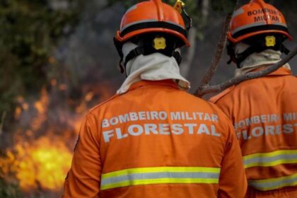 uso-do-fogo-em-area-do-pantanal-esta-proibido-a-partir-deste-domingo-(1o)