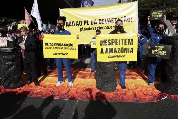 manifestantes-realizam-protesto-contra-o-pl-da-devastacao-em-sao-paulo