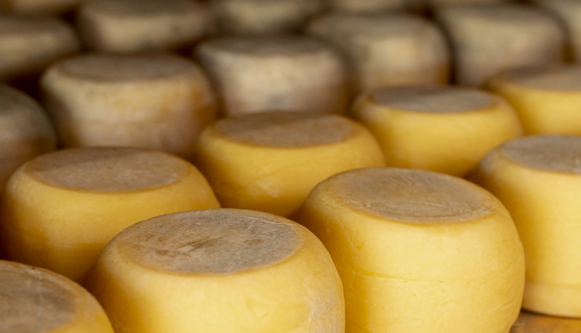 mato-grosso-brilha-no-premio-queijo-brasil-com-recorde-de-premiacoes-e-protagonismo-nacional