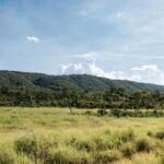 sema-firma-mais-de-500-acordos-para-recuperacao-de-areas-degradadas-no-primeiro-semestre