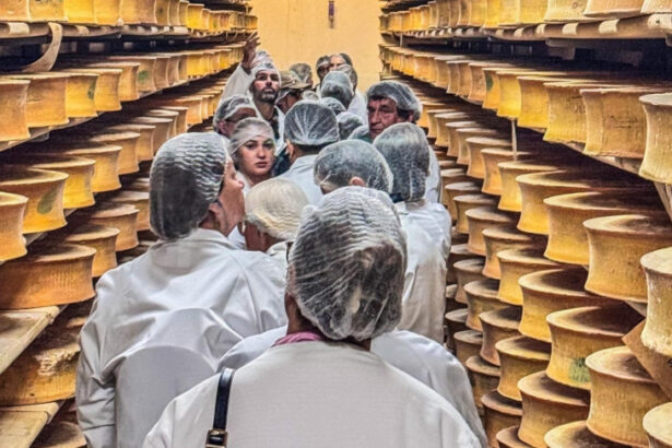 produtores-de-queijo-de-mato-grosso-participam-de-missao-na-franca