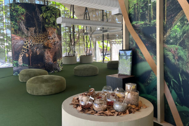 exposicao-artistica-“chao-de-sonhos”-reflete-sobre-a-cultura,-tecnologia-e-sustentabilidade-em-mt