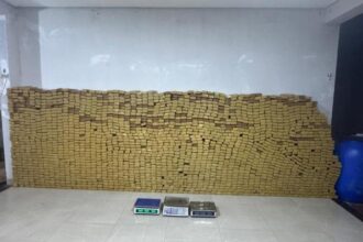 policia-civil-apreende-carregamento-de-quase-2-mil-tabletes-de-maconha-em-cuiaba