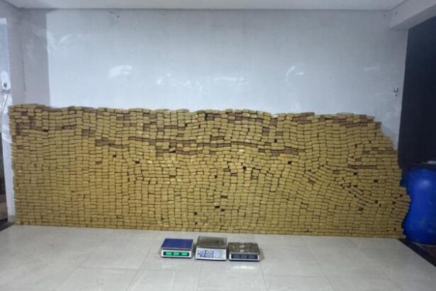 policia-civil-apreende-carregamento-de-quase-2-mil-tabletes-de-maconha-em-cuiaba