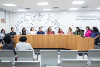 almt-instala-camara-setorial-tematica-para-investigar-falhas-na-protecao-a-mulheres