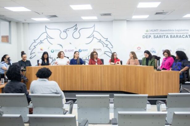 almt-instala-camara-setorial-tematica-para-investigar-falhas-na-protecao-a-mulheres