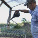 do-chao-a-prosperidade:-a-transformacao-de-paranaita-pelas-maos-dos-produtores-e-do-sebrae/mt