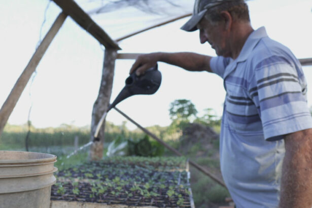do-chao-a-prosperidade:-a-transformacao-de-paranaita-pelas-maos-dos-produtores-e-do-sebrae/mt