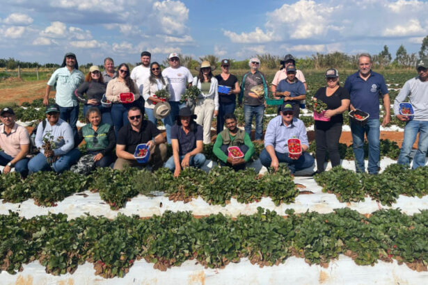 sebrae/mt-leva-grupo-para-conhecer-potencialidades-da-agricultura-familiar-em-brasilia