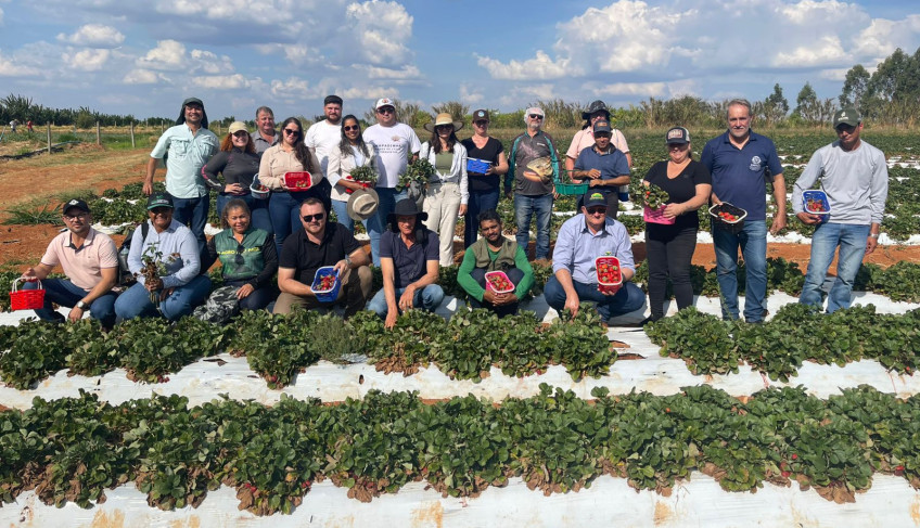 sebrae/mt-leva-grupo-para-conhecer-potencialidades-da-agricultura-familiar-em-brasilia