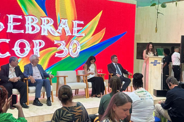 cop-30:-sebrae/mt-apresenta-solucoes-estrategicas-para-o-desenvolvimento-sustentavel-dos-pequenos-negocios