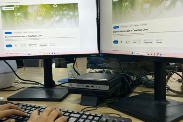 sebrae/mt-lanca-curso-gratuito-sobre-empreendedorismo-climatico-durante-a-cop-30