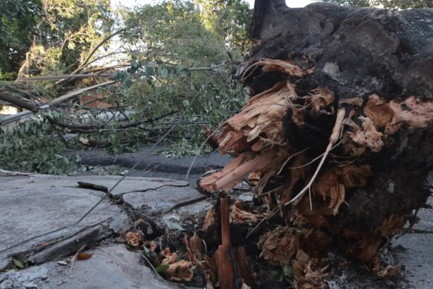 midr-reconhece-situacao-de-emergencia-em-21-municipios 