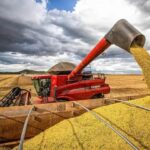 mt-redefine-incentivo-fiscal-a-soja-beneficiada-e-impoe-novos-criterios-as-operacoes