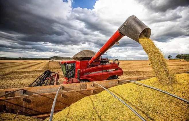 mt-redefine-incentivo-fiscal-a-soja-beneficiada-e-impoe-novos-criterios-as-operacoes