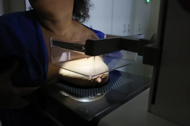 vigitel:-92%-das-brasileiras-entre-50-e-69-anos-fizeram-mamografia
