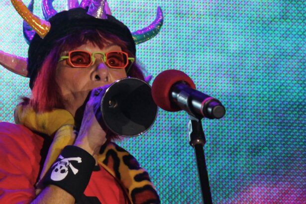 rainha-do-rock,-rita-lee-sera-padroeira-da-liberdade-na-mocidade