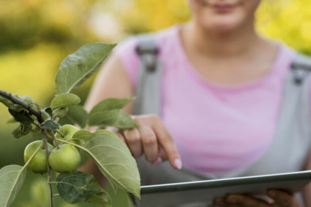 mt-emplaca-cinco-empresas-em-selecao-internacional-de-bioeconomia-do-sebrae