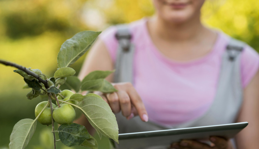 mt-emplaca-cinco-empresas-em-selecao-internacional-de-bioeconomia-do-sebrae