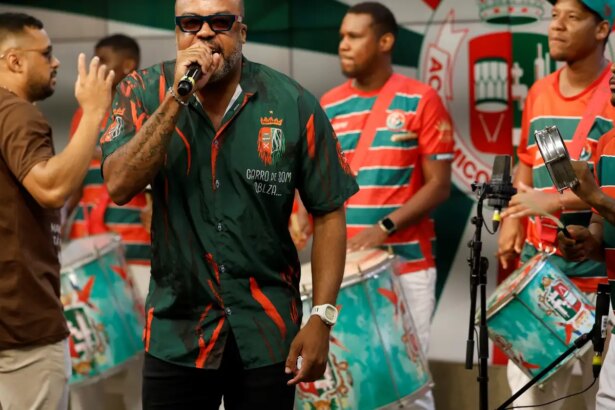 pernambuco-vai-a-sapucai-com-desfile-da-grande-rio-sobre-o-manguebeat