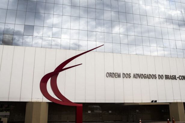 oab-cita-“natureza-perpetua”-e-pede-fim-de-inquerito-das-fake-news
