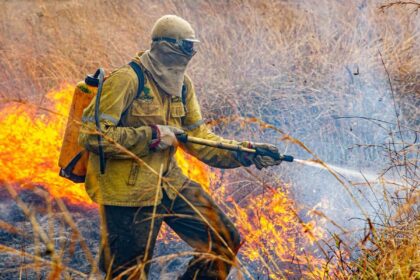 governo-divulga-planejamento-para-enfrentar-incendios-em-2026